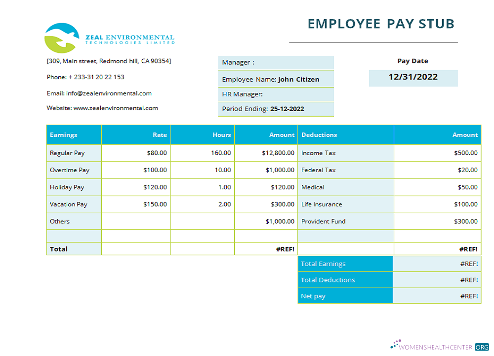 Download USA Texas commercial cleaning company earnings statement template in Word and PDF format Photoshop template